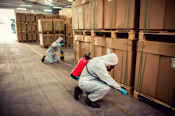 Best Exterminator Services  in Temesl Valley, CA