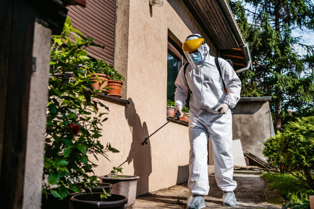Pest Prevention Services in Temescal Valley, CA
