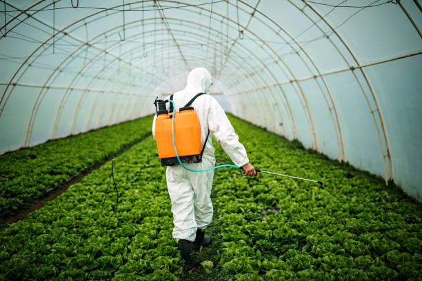 Best Pest Inspection Near Me  in Temesl Valley, CA