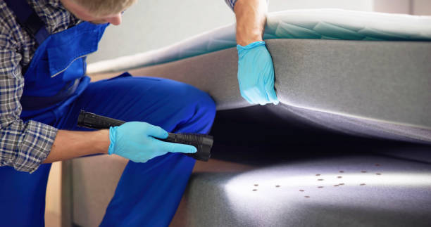 Temescal Valley, CA Pest Control Company