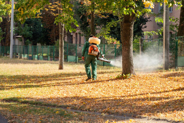 Best Exterminator Services  in Temesl Valley, CA