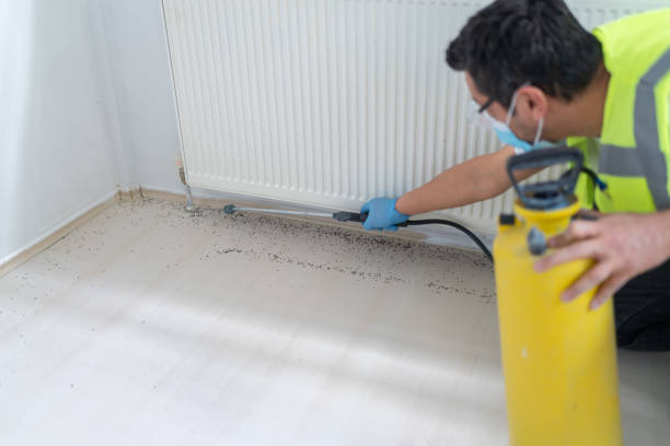 Best Insect Control  in Temesl Valley, CA